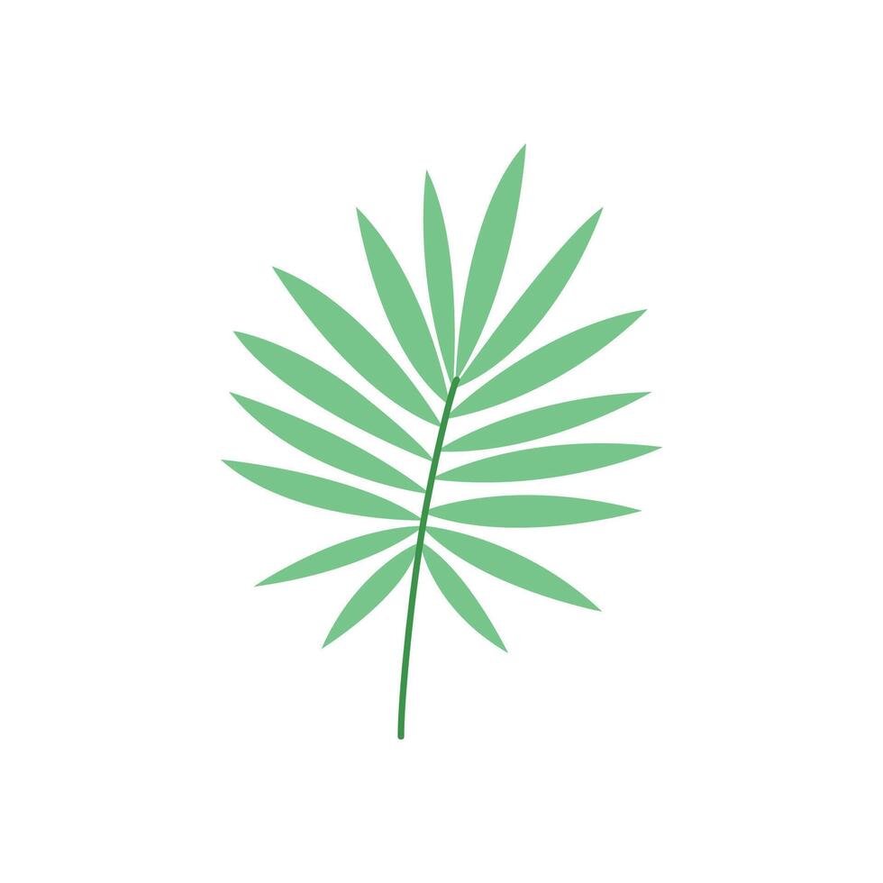 Palm Leaf Tropical Hand Drawn Illustration vector