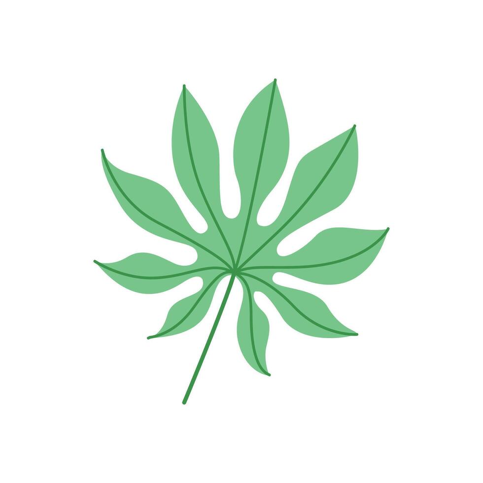 Tropical Green Leaf Botanical Illustration vector