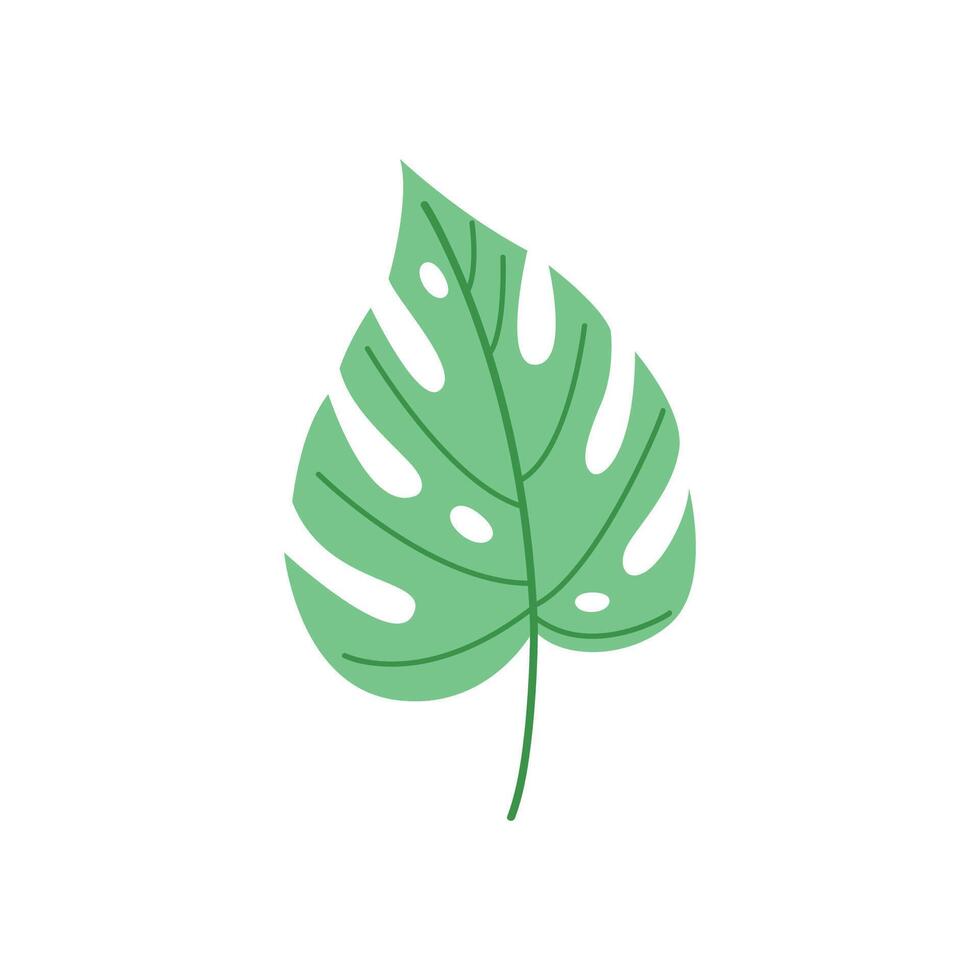 Monstera Leaf Cute Hand Drawn Style vector
