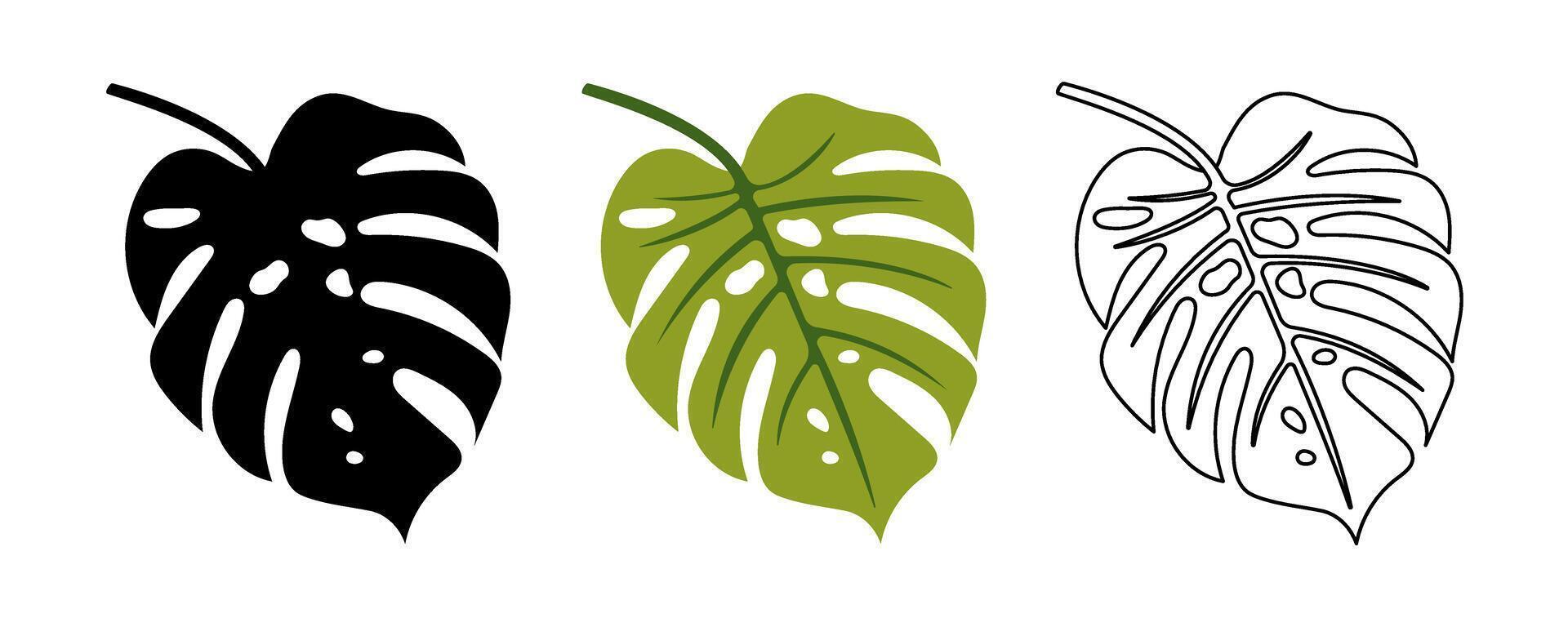 Monstera Leaf Silhouette, Colored and Outline Set. Tropical Jungle Plant Icon in Black, Green and Line Art Style. Hand Drawn Exotic Leaf for Nature, Botanical, Summer, Eco Designs vector