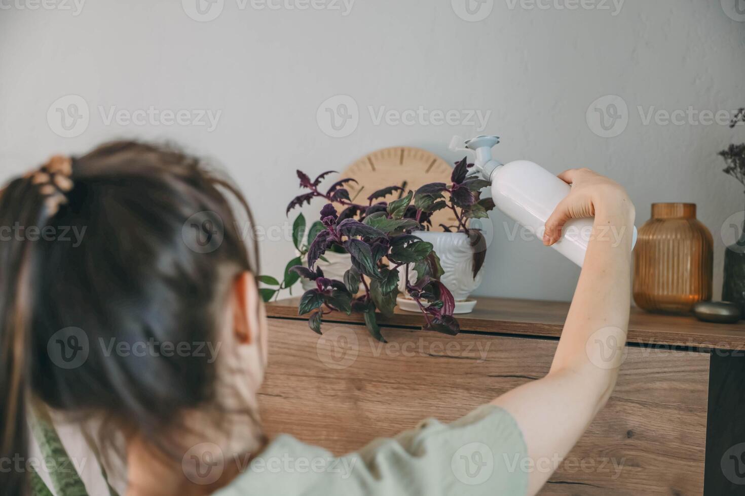Unrecognizable woman with tied brown hair spray houseplants from behind in softly lit room with wooden cabinet and potted flowers, home wellness, indoor gardening, sustainable photo