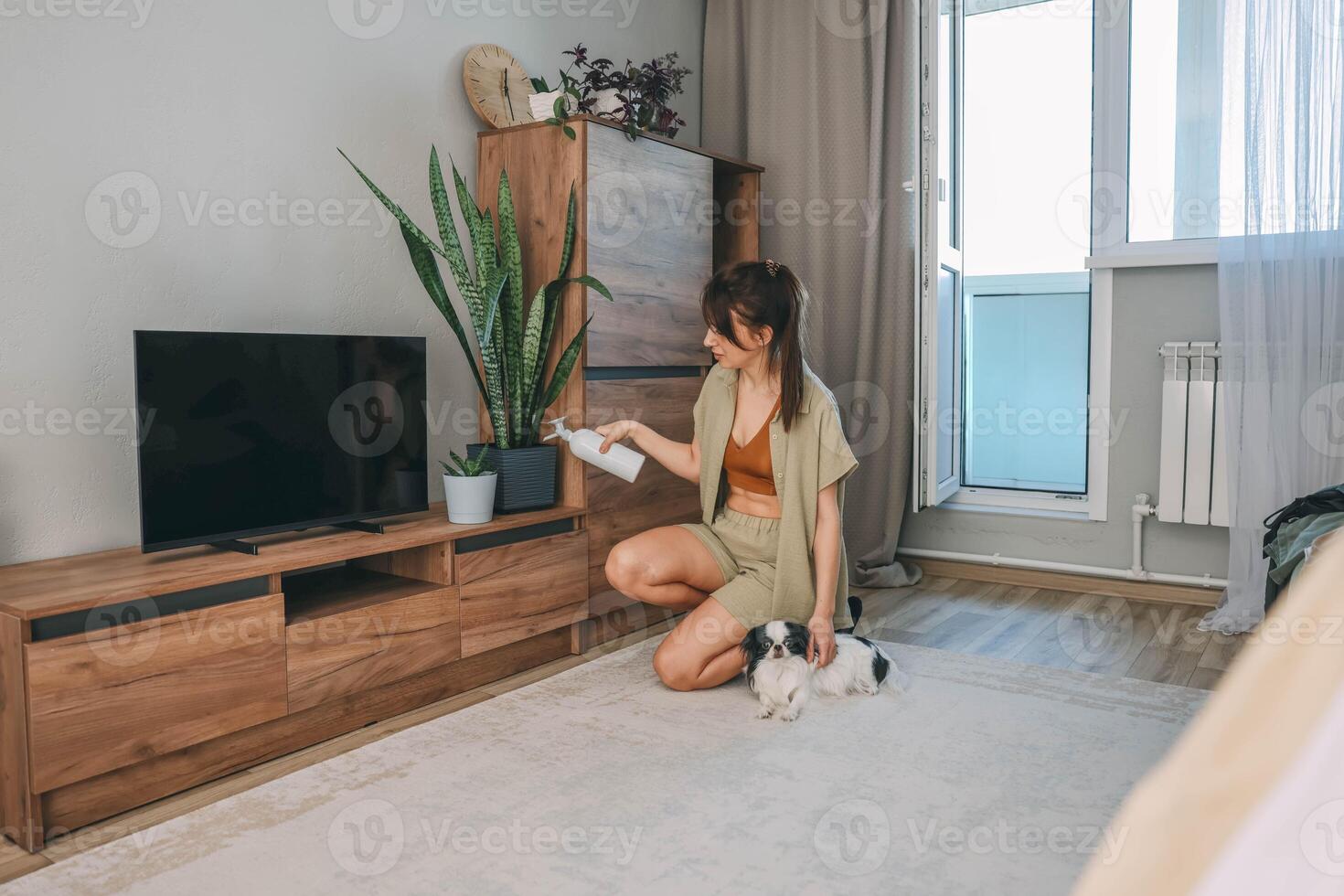 woman kneeling on carpet spraying houseplants, wooden tv cabinet with small japanese chin dog looking at her, daylight streaming from balcony, eco living, home styling, pet care photo