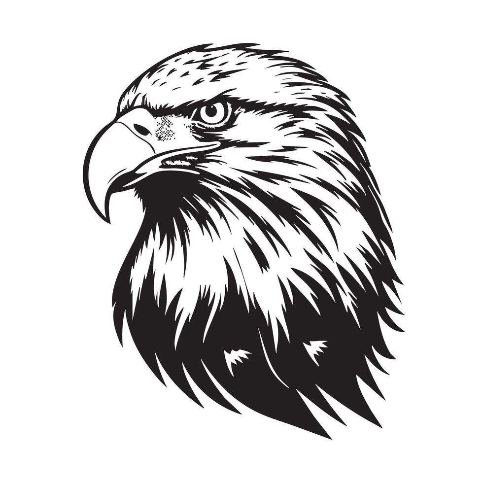 Detailed Black and White Eagle Head Portrait vector