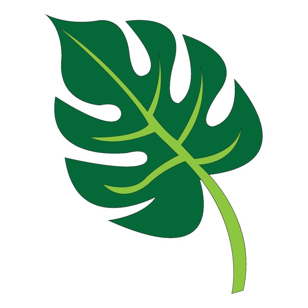 monstera leaf illustration design template vector