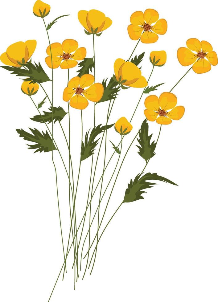 bunch of yellow flowers vector