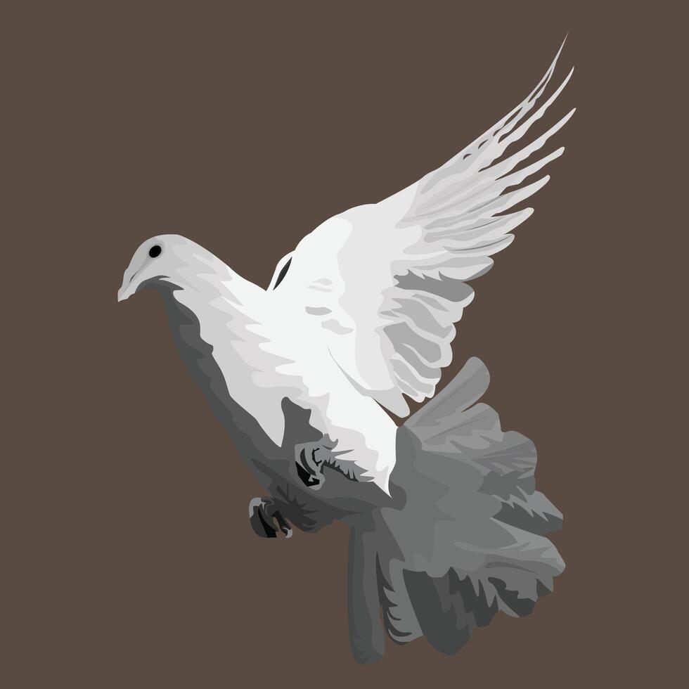 Dove bird illustration. vector