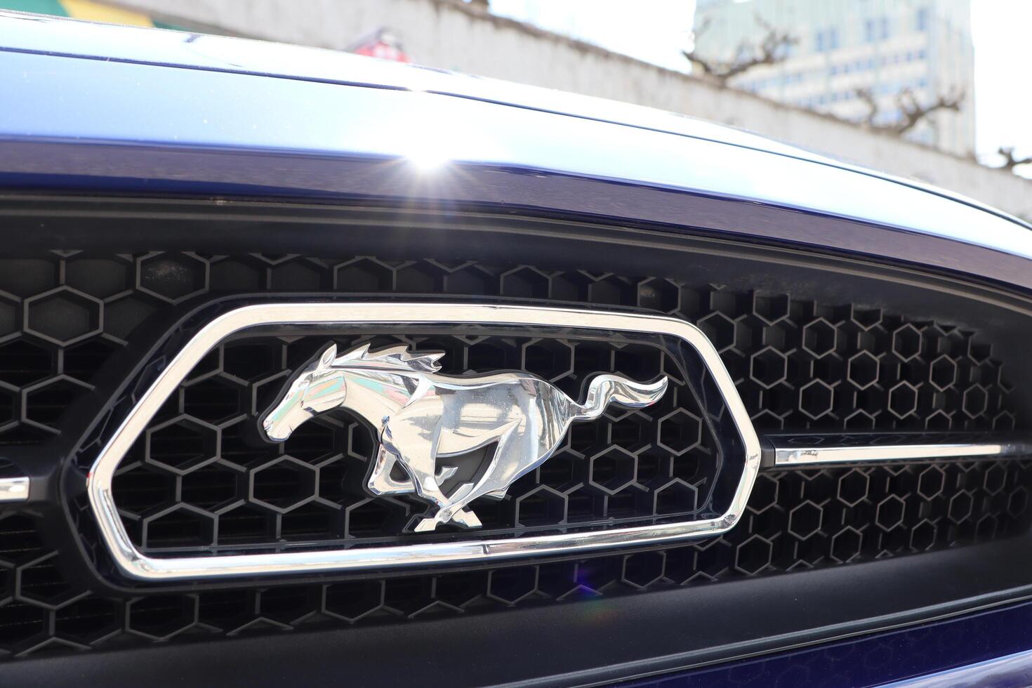 09.3.2025 Moldova A CloseUp of the Iconic Ford Mustang Horse Emblem Featured Prominently on the Grille photo