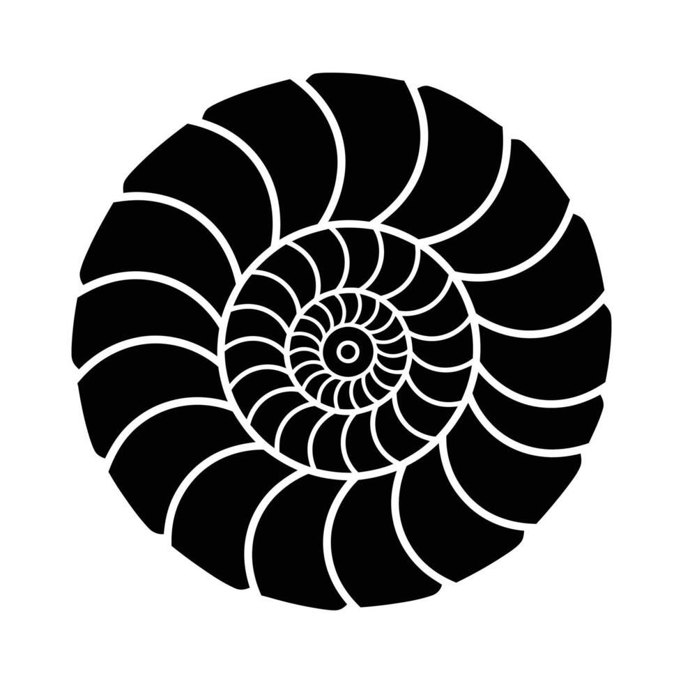 Nautilius Shell Spiral Black and White Graphic Illustration. vector