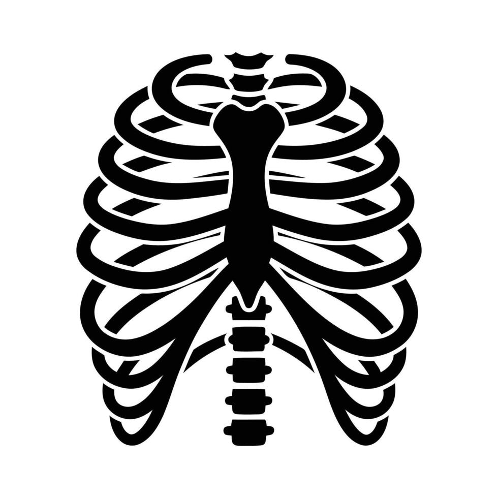 Black and white stylized illustration of human rib cage anatomical structure medical concept. vector