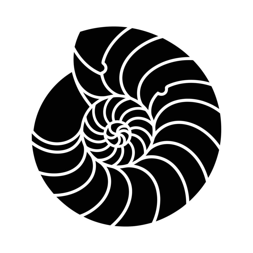 Nautilis Shell Black and White Graphic Illustration Spiraled Chambers Detailed Line Art. vector