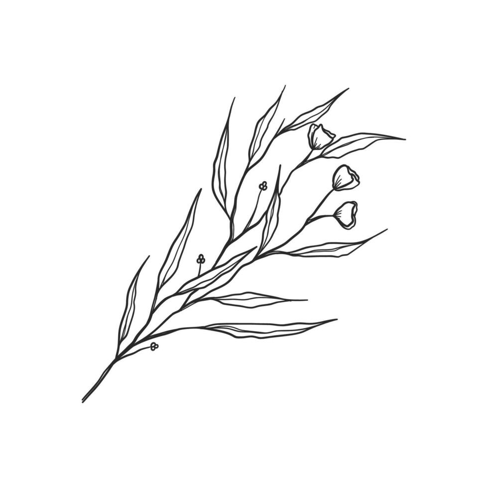 a drawing of a branch with leaves and flowers vector