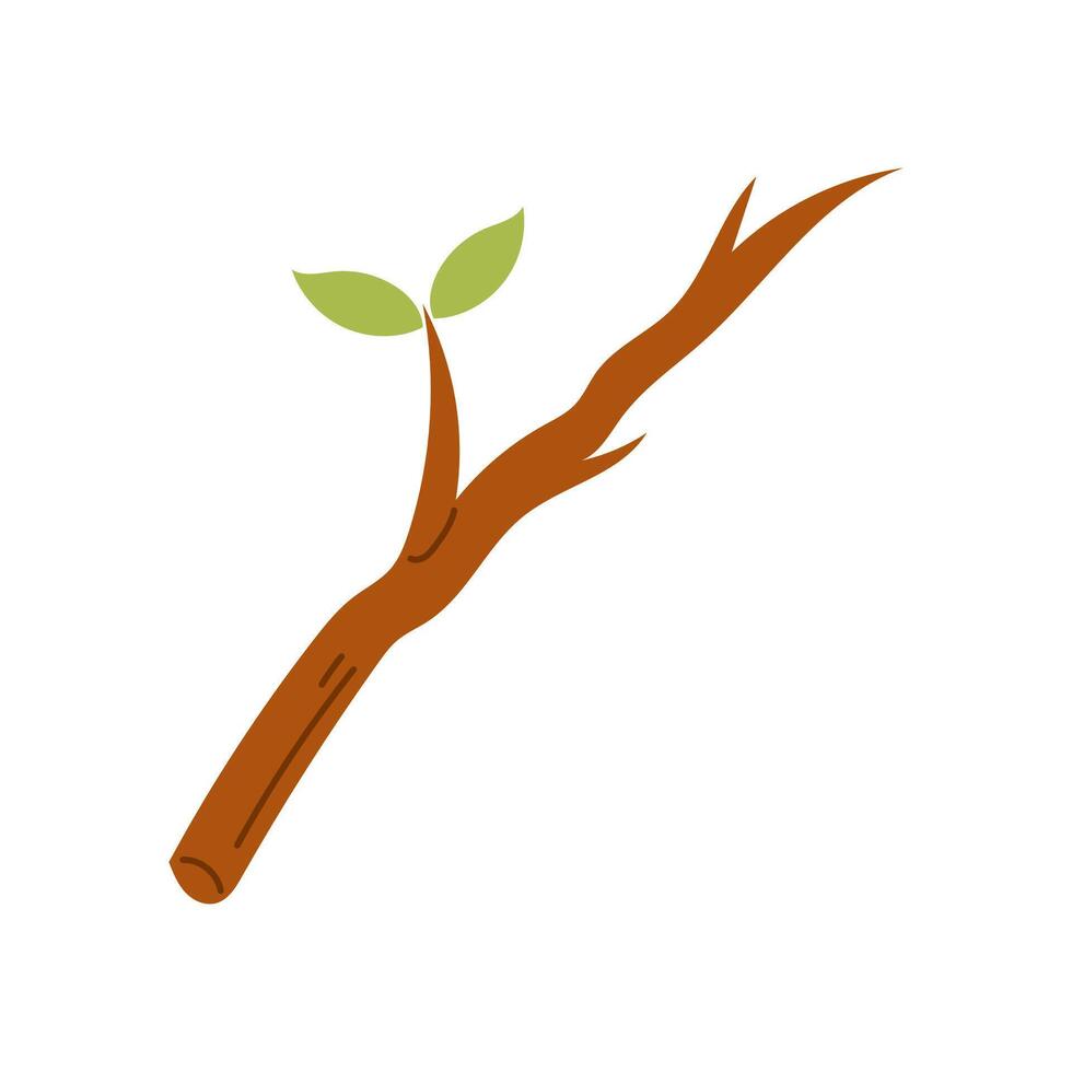 a branch with a leaf on it is shown vector