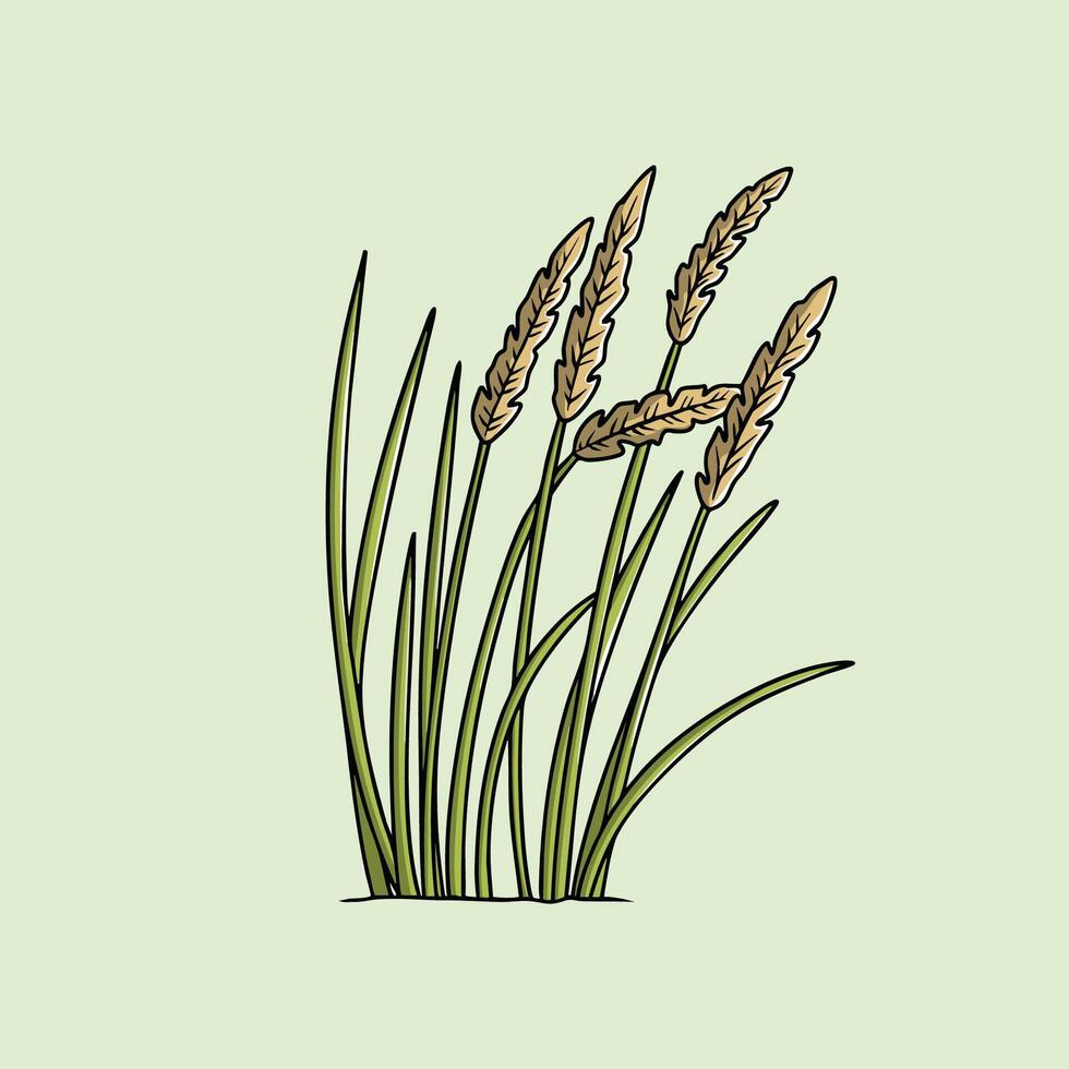 Hand drawn of reeds grass vector