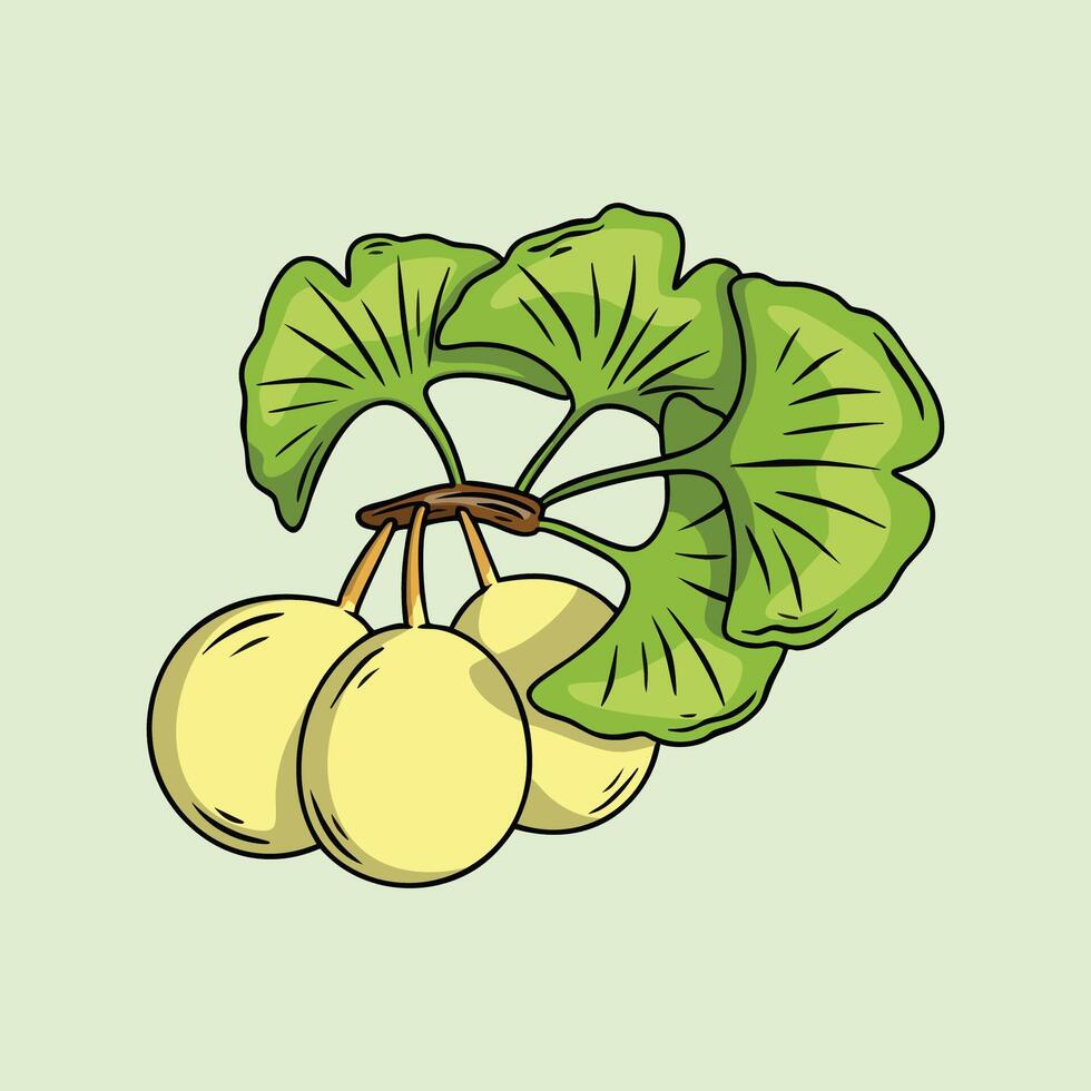 Hand drawn illustration of Ginkgo biloba with leaves and fruits vector
