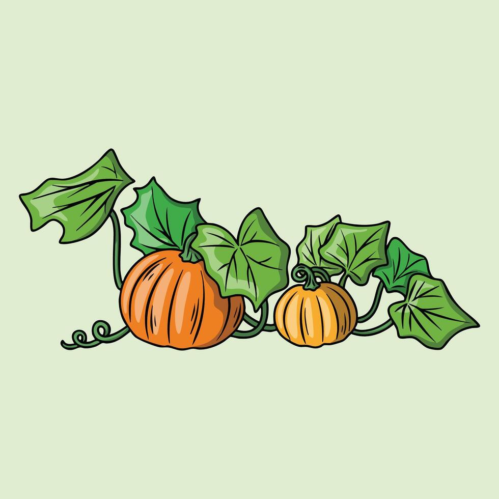Pumpkins with leaves and vines vector