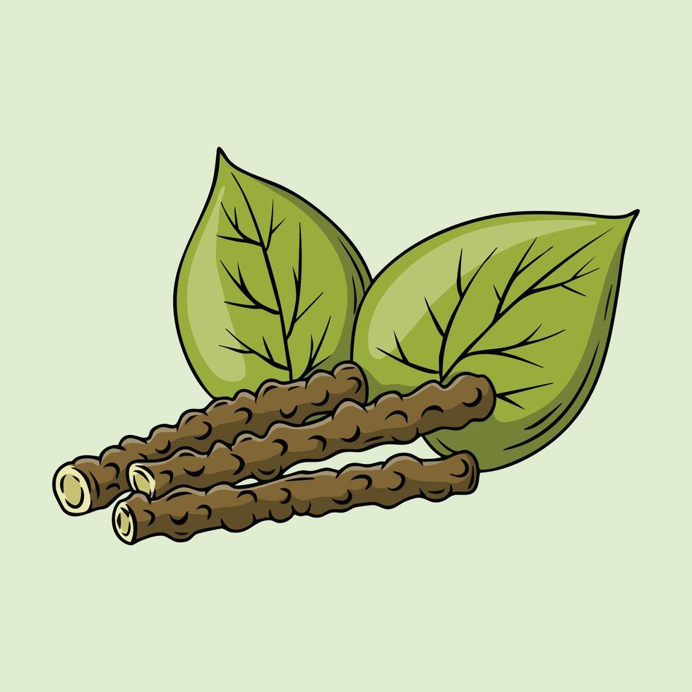 Giloy Tinospora Cordifolia with Leaves and Stems vector