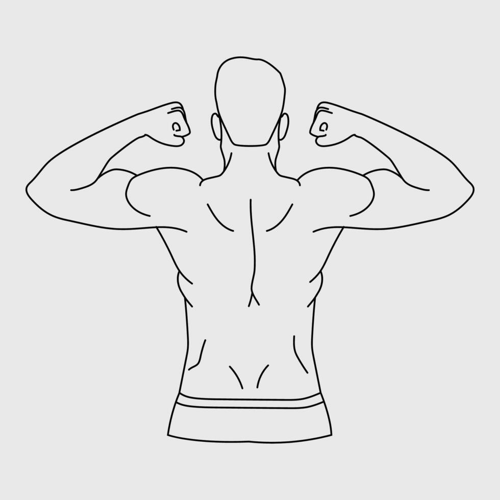 Line drawing illustration of a man flexing his muscular back muscles vector