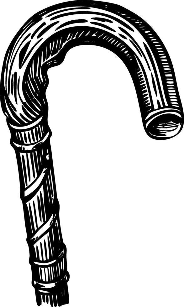 A vintage style illustration showing vintage cane vector
