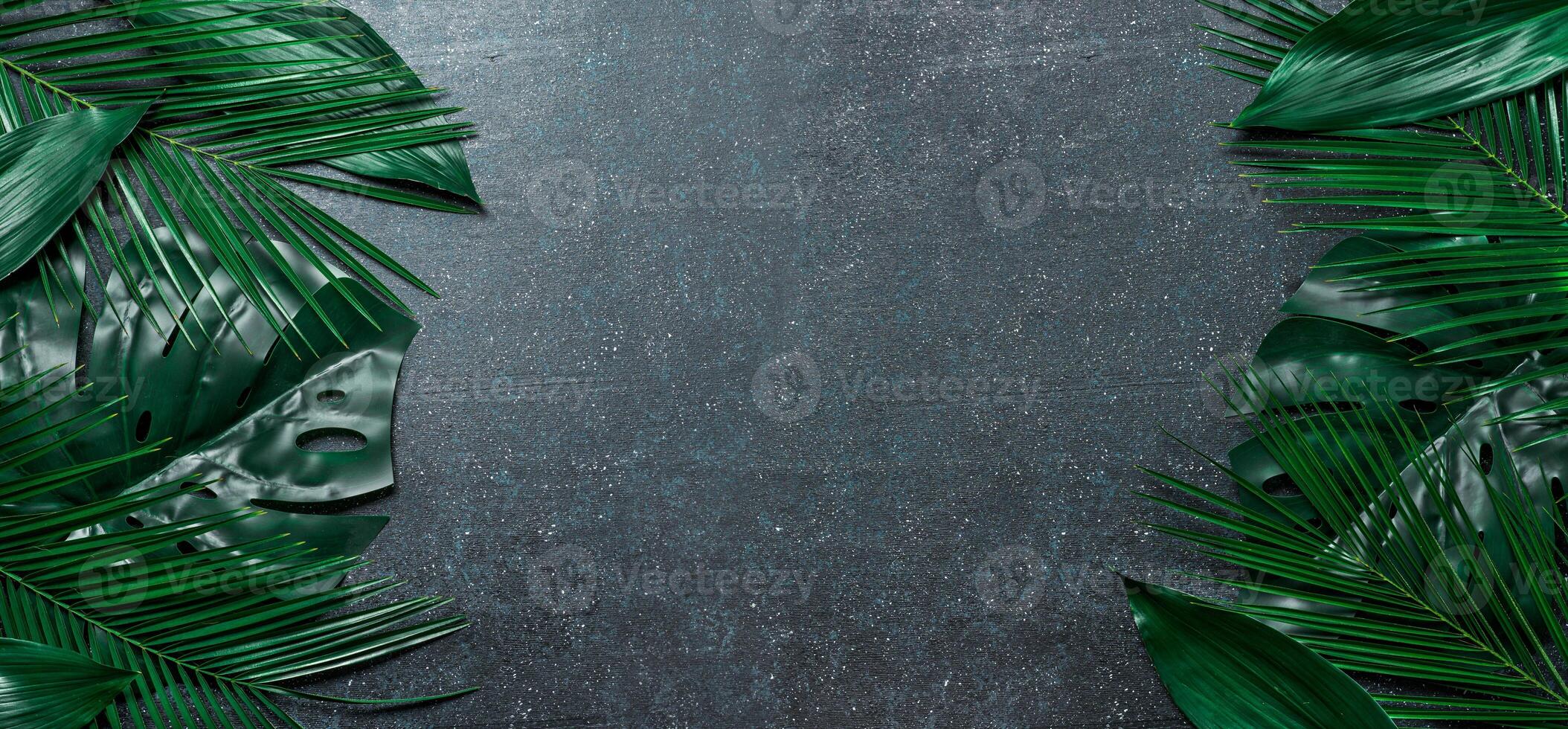 Palm leaves on dark blue background. Tropical leaves top view or flat lay. Copy space for text or design. Horizontal banner. Tropical palm leave, jungle leave floral pattern background photo