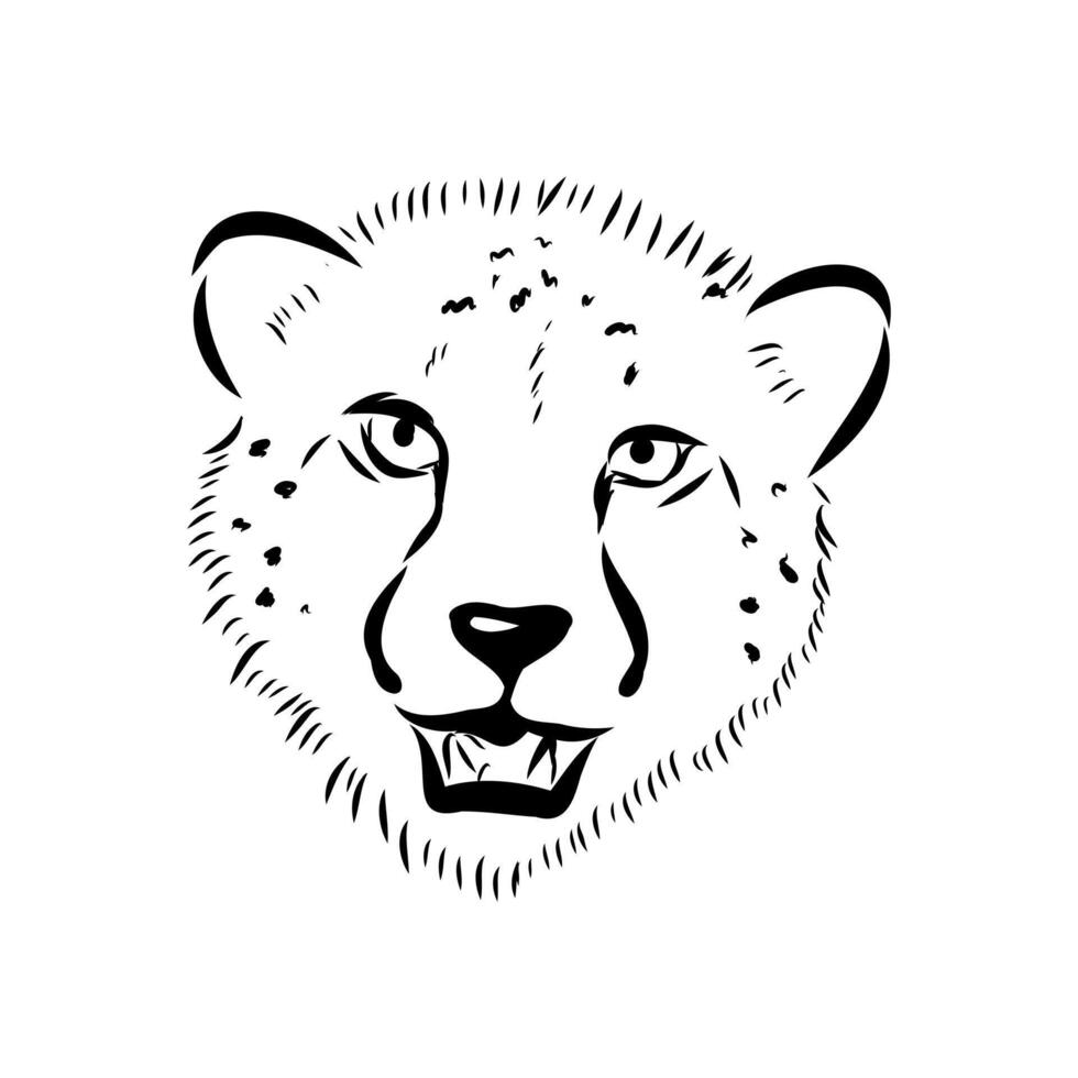 cheetah's head black and white drawing vector