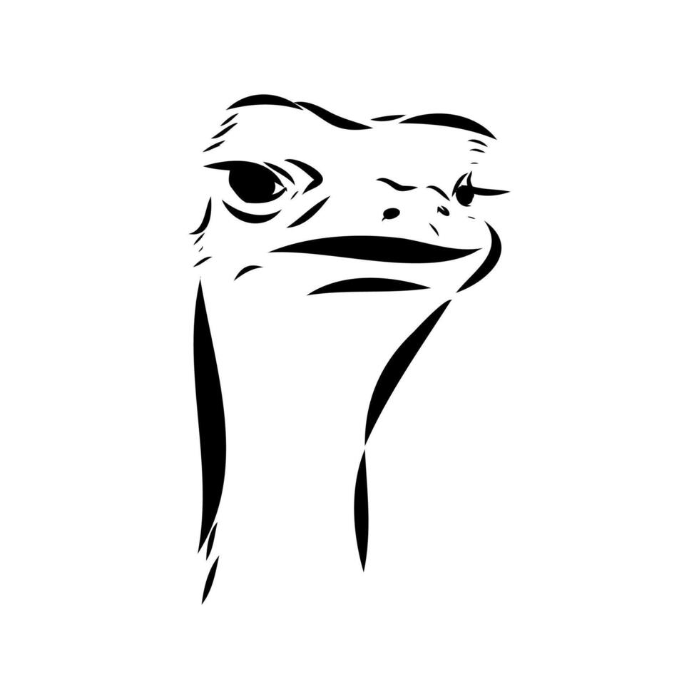 Large African bird ostrich drawing vector