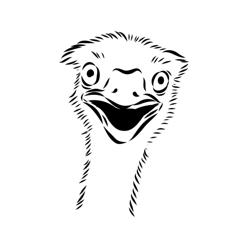 Ostrich bird head hand-drawn vector