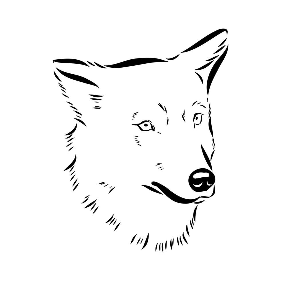 asian wolf hand sketch vector
