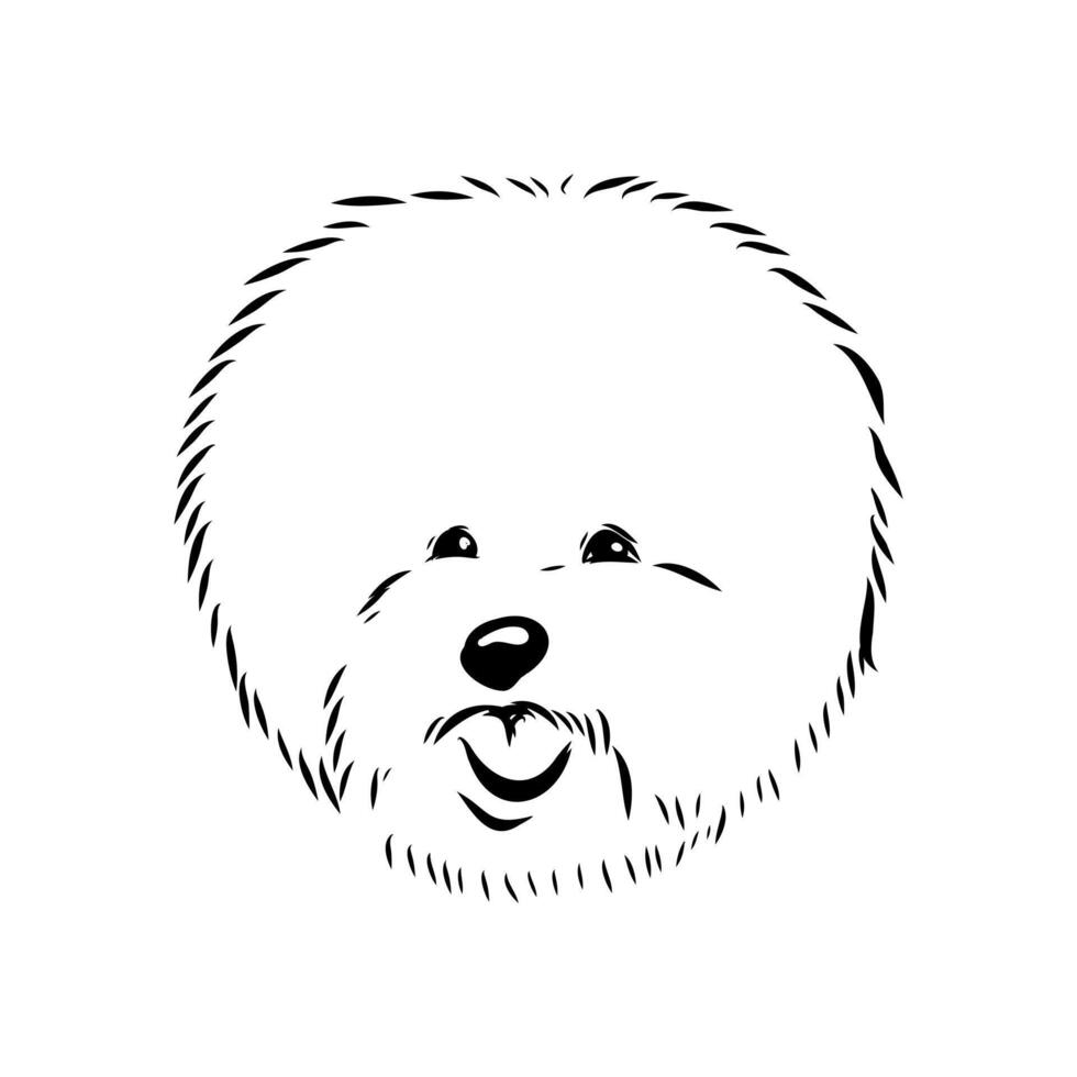 bichon frise dog black and white pattern vector