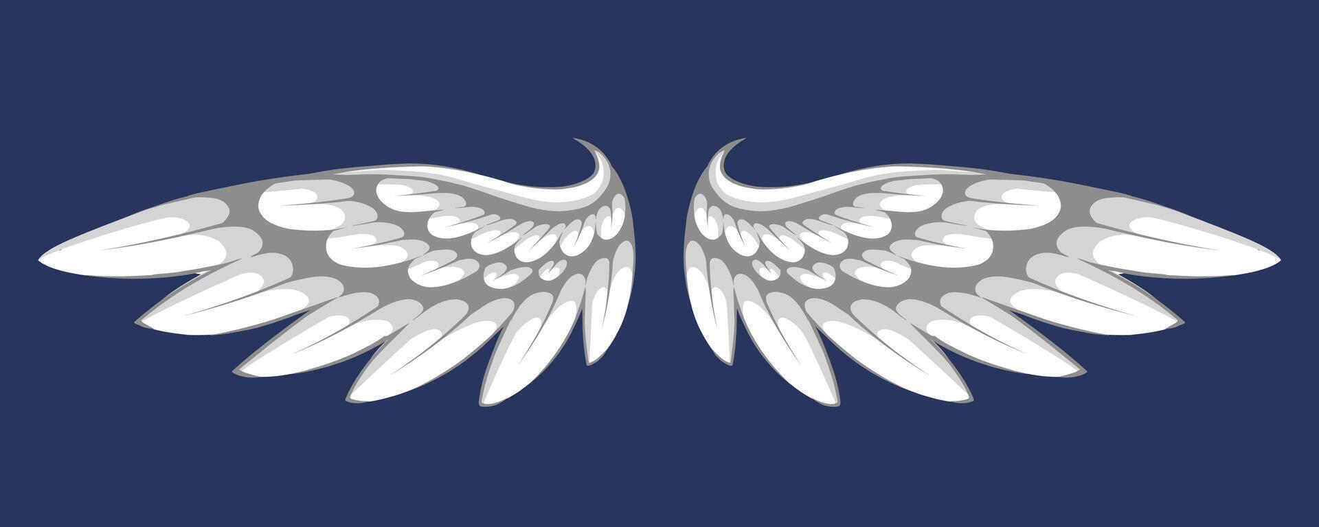 A pair of white angel wings on a dark background vector