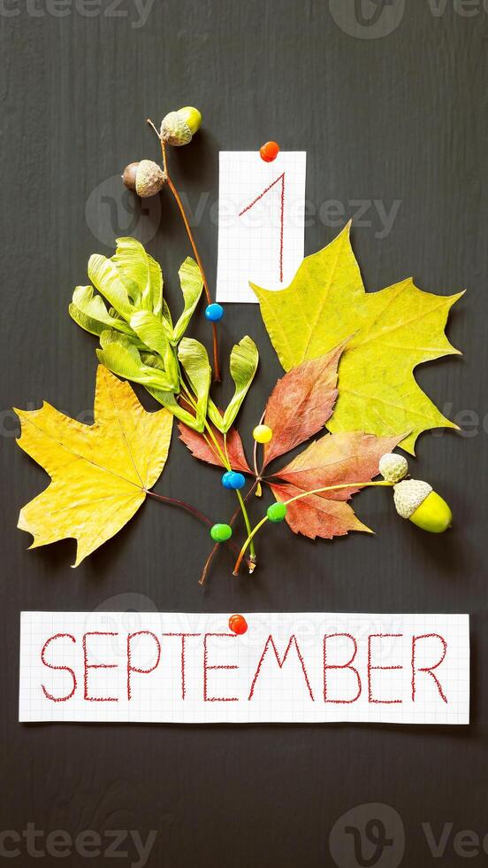 Autumn bouquet and hand writing text first September photo
