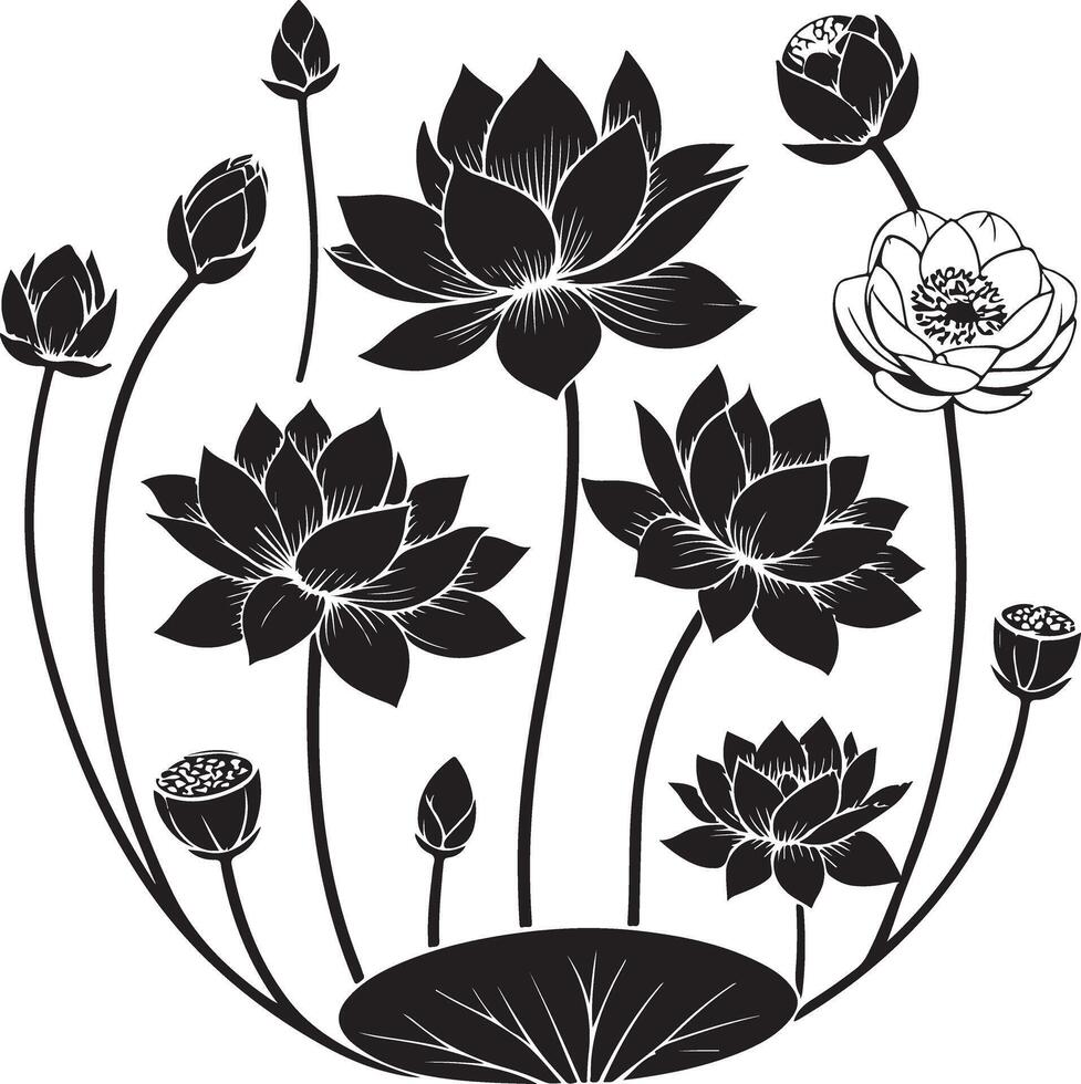 Lotus Flower Silhouette Clipart Botanical Bloom Line Art vector