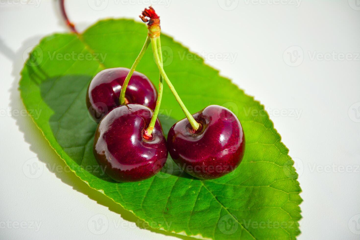 ripe, dark red cherries on a vibrant green leaf. Cherries close up for food blogs, health websites, or fresh produce advertising. The image conveys freshness and summery vibes photo