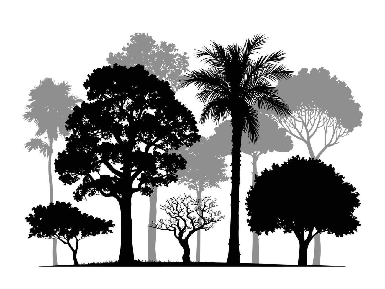 Tree Silhouettes Collection, Variety of Tropical and Deciduous Trees vector