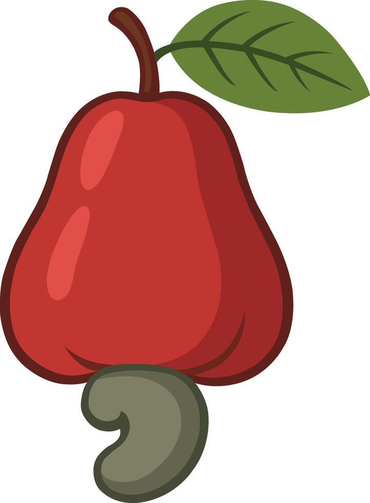 Cashew Fruit Illustration with Leaf and Nut vector