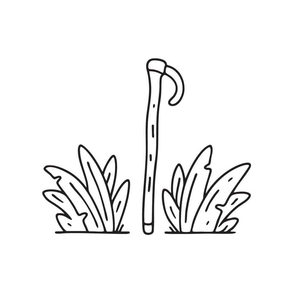 A walking stick leaning on dense underbrush nearby vector