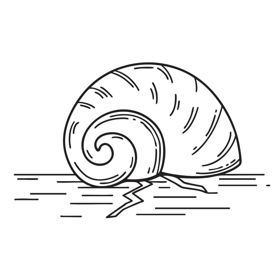 A shell lying next to a crack along the pool floor vector