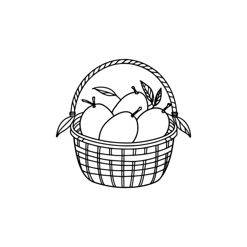 Mangoes Arranged in a Wooden Storage Bucket vector