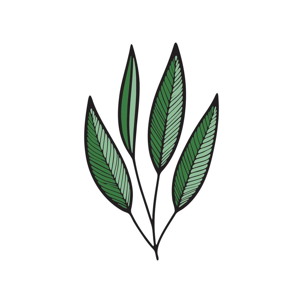 Doodled leaves shown in a simple illustration vector