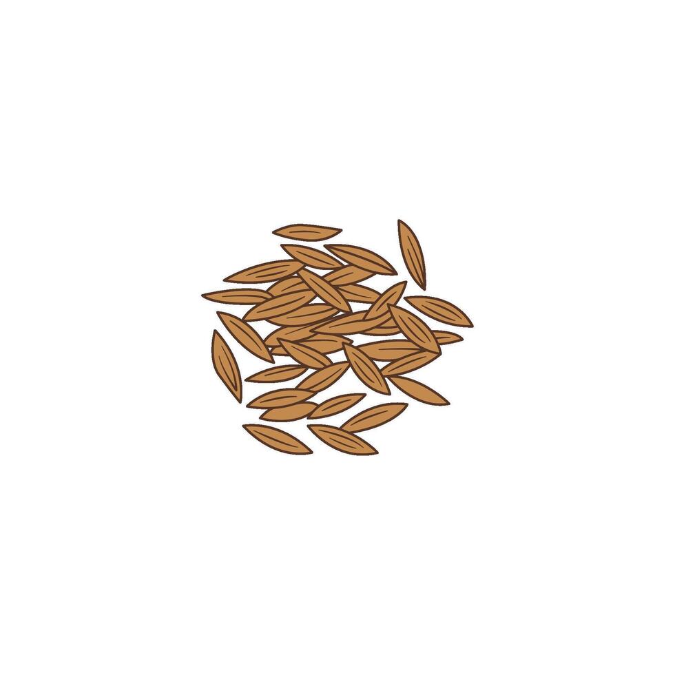 Cumin Seeds Spice vector