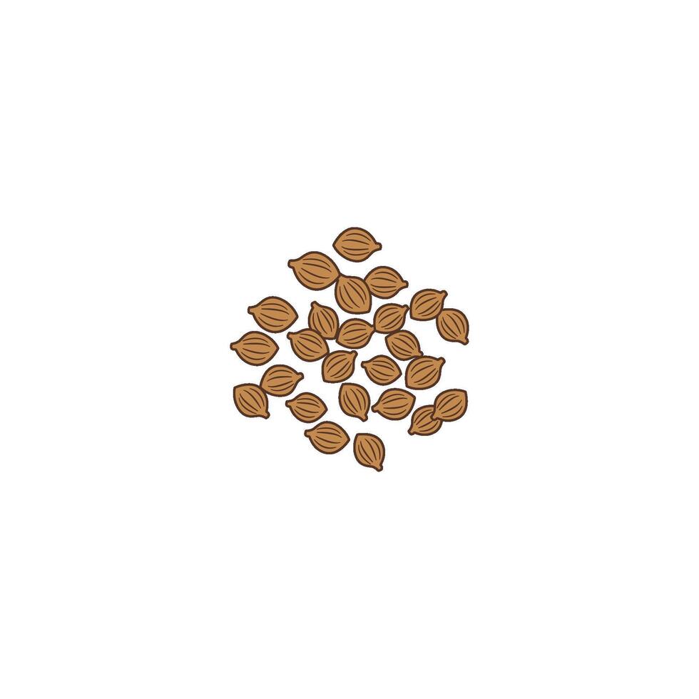 Coriander Seeds Spice vector