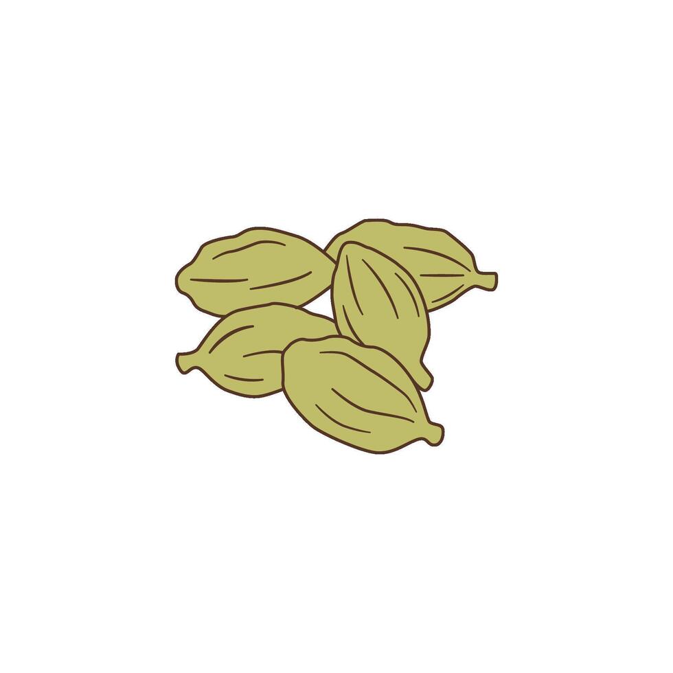 Green Cardamom Pods Spice vector