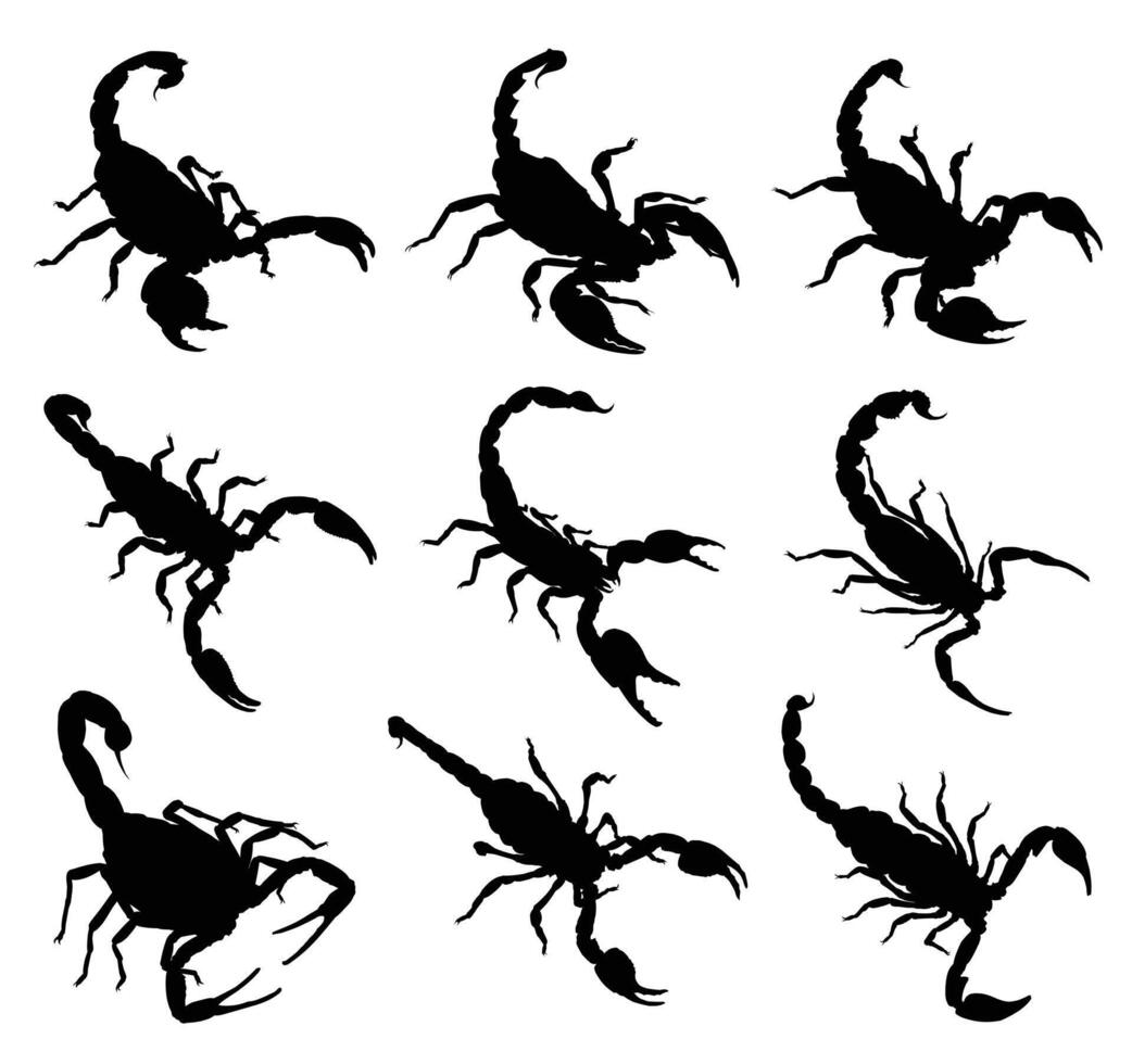 Set Silhouettes of scorpions. vector