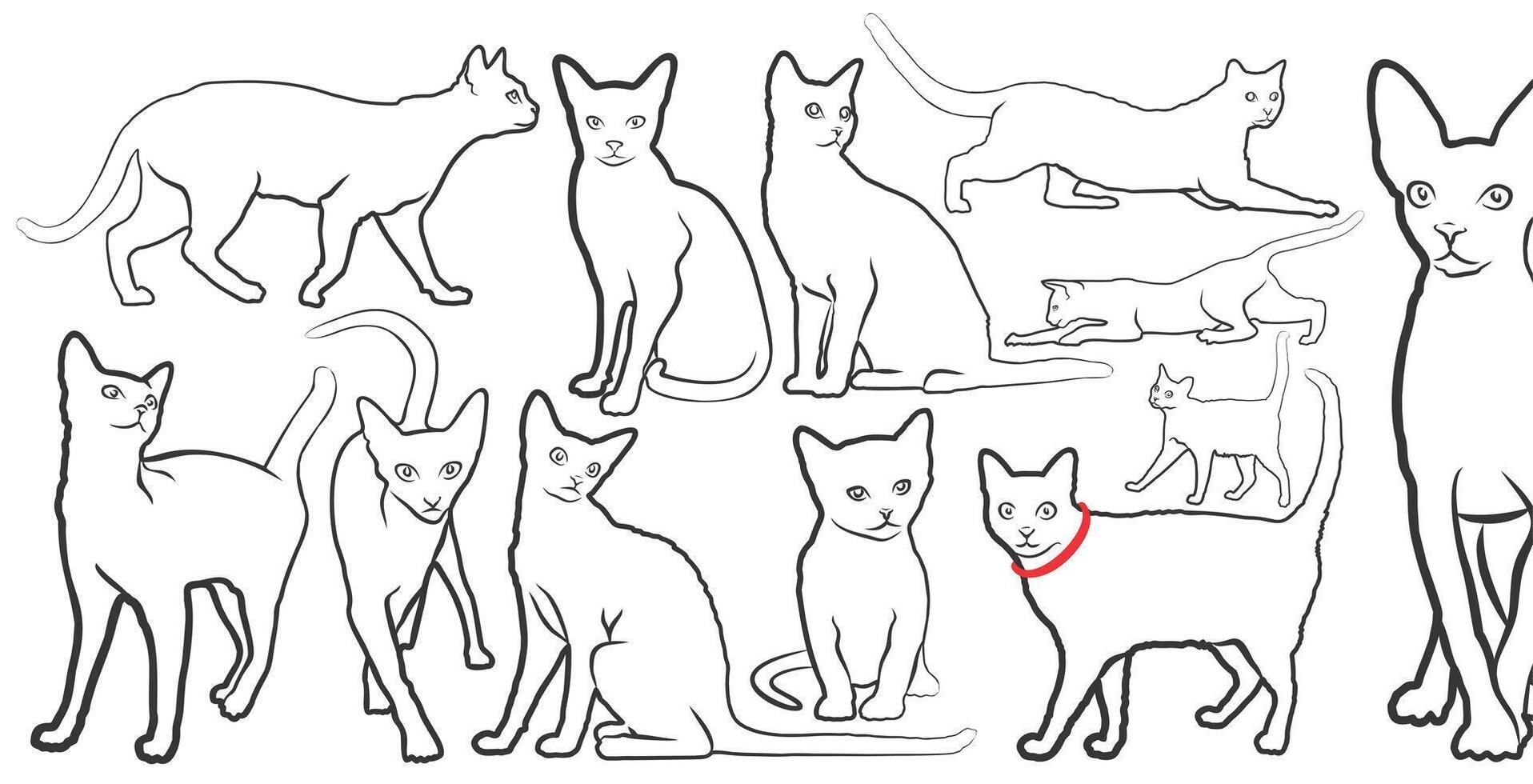 Set of sketches of domestic cats. vector