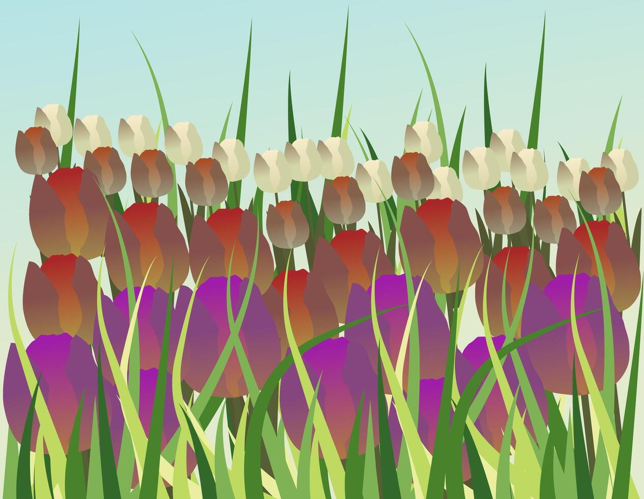 Spring tulip field. Bright illustration of blooming tulips of different colors. vector