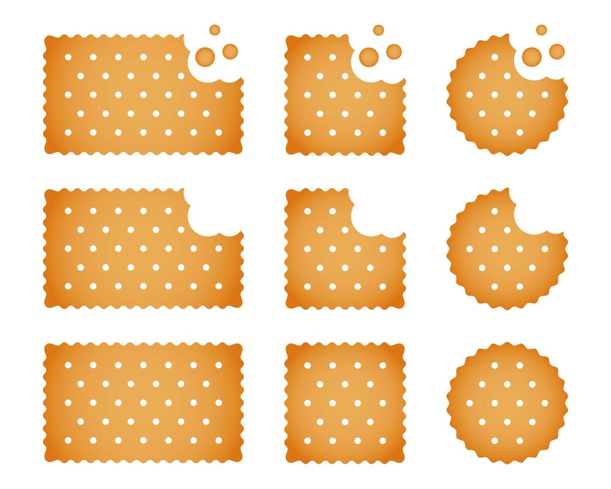Set of whole and bitten crackers. Sweet or salty biscuit cookies in round, square and rectangle shapes. Popular crunchy snacks isolated on white background. cartoon illustration vector