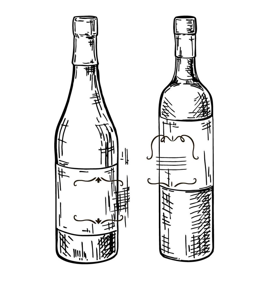 set of wine, hand drawn in ink. sketch illustration of wine styles in vintage engraved style vector
