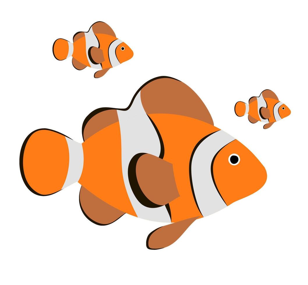 Cute clown fish. Reef fish swimming in tropical reef. Cartoon vector