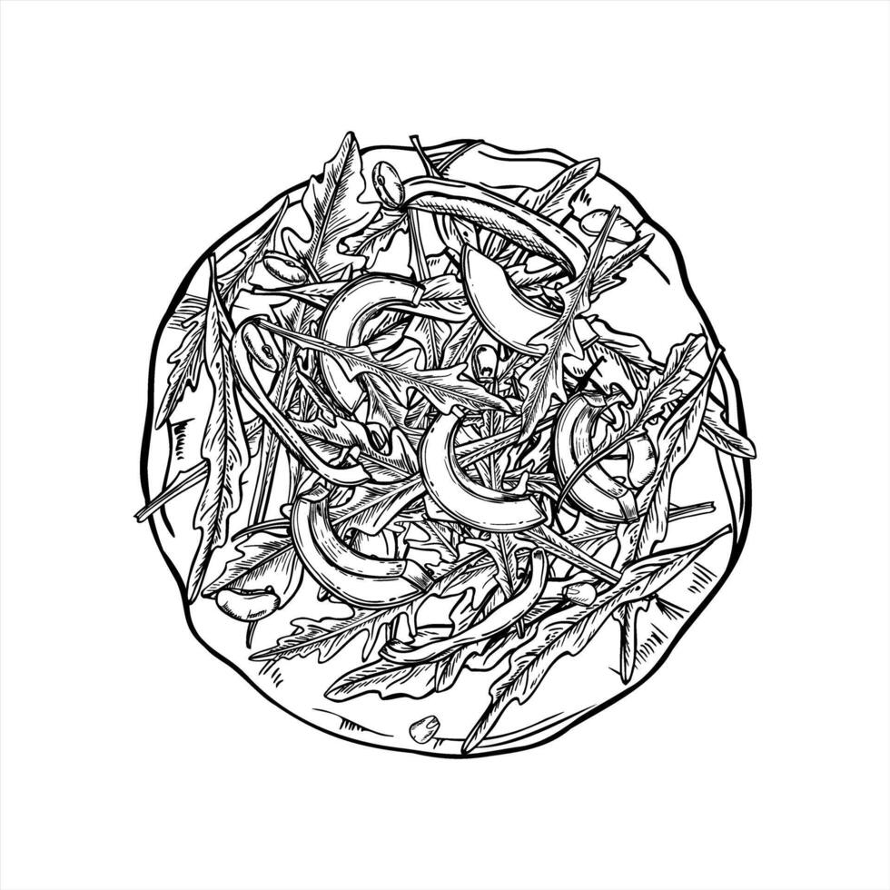 Tortilla or pizza with arugula, avocado slices, beans and corn line art ink illustration in black and white. Monochrome cornmeal flour Mexican tortillas graphic sketch. For healthy food packaging vector