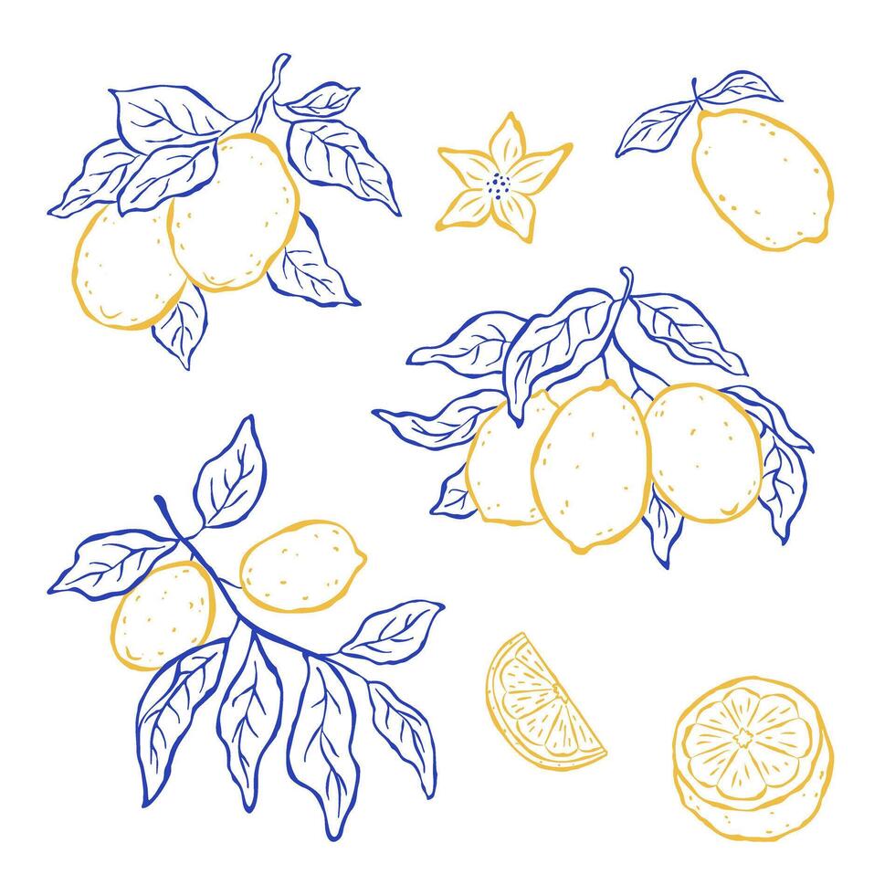 Set design elements of lemon fruits hanging on a branches on white background. Sketch italian style. Flat illustration. Mediterranean life. Ideal for card, poster, print, cover vector