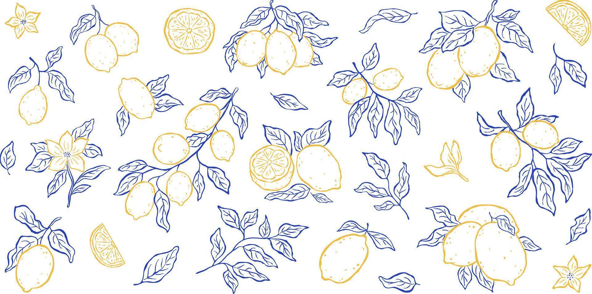 Set of isolated elements of lemons, branches, leaves and flowers on white backdrop. Sketch italian style. Flat illustration. Mediterranean life. Perfect for card, poster, print, cover vector